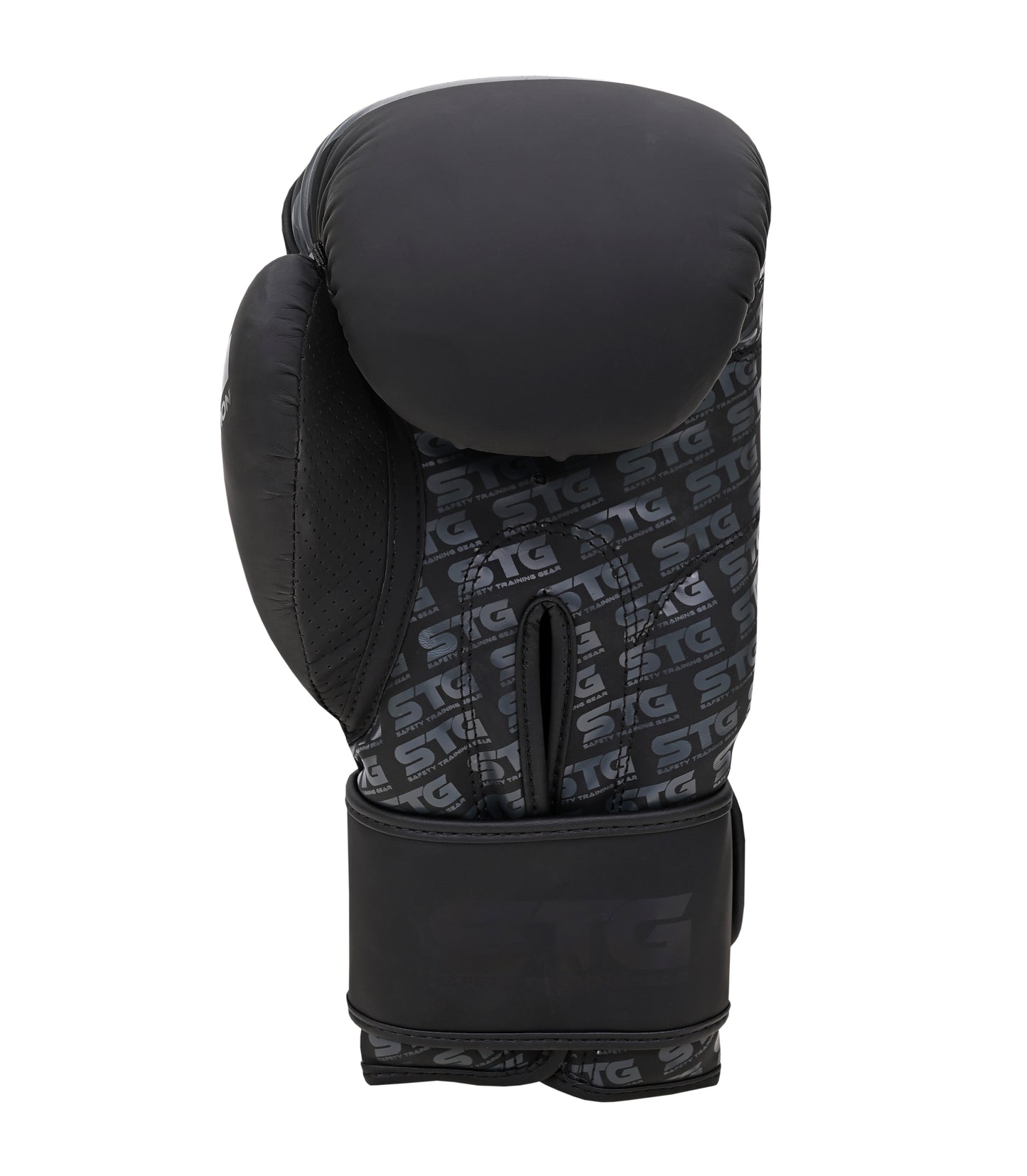 Boxing Gloves Black Edition