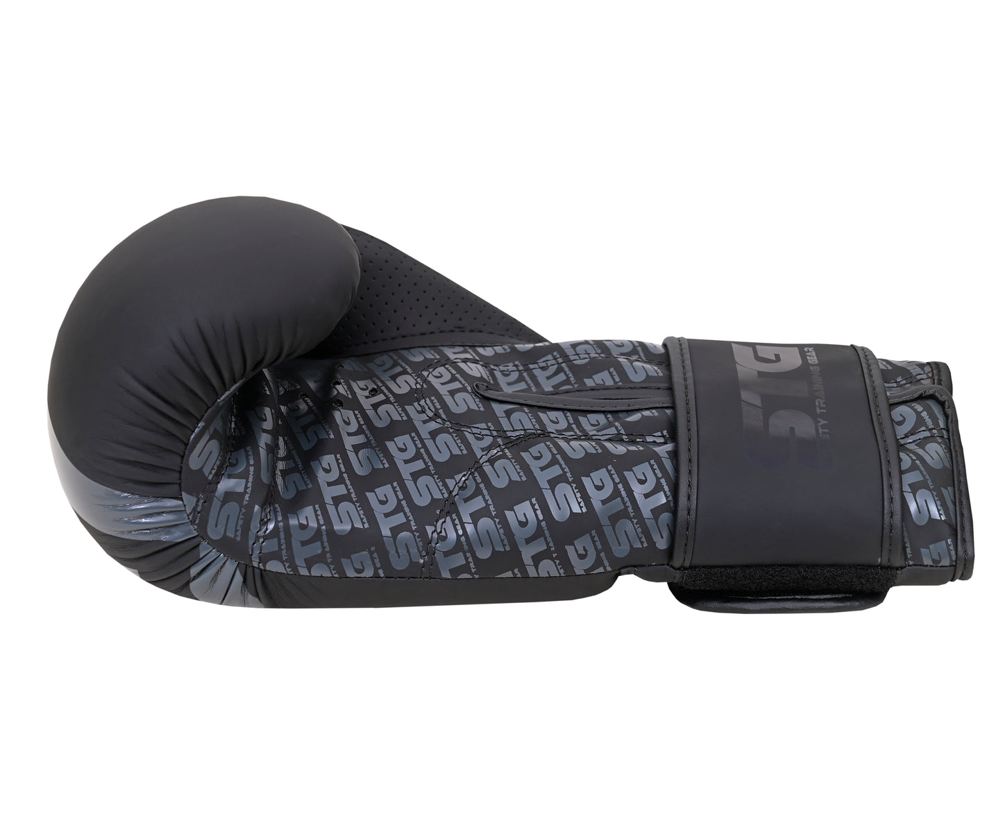 Boxing Gloves Black Edition