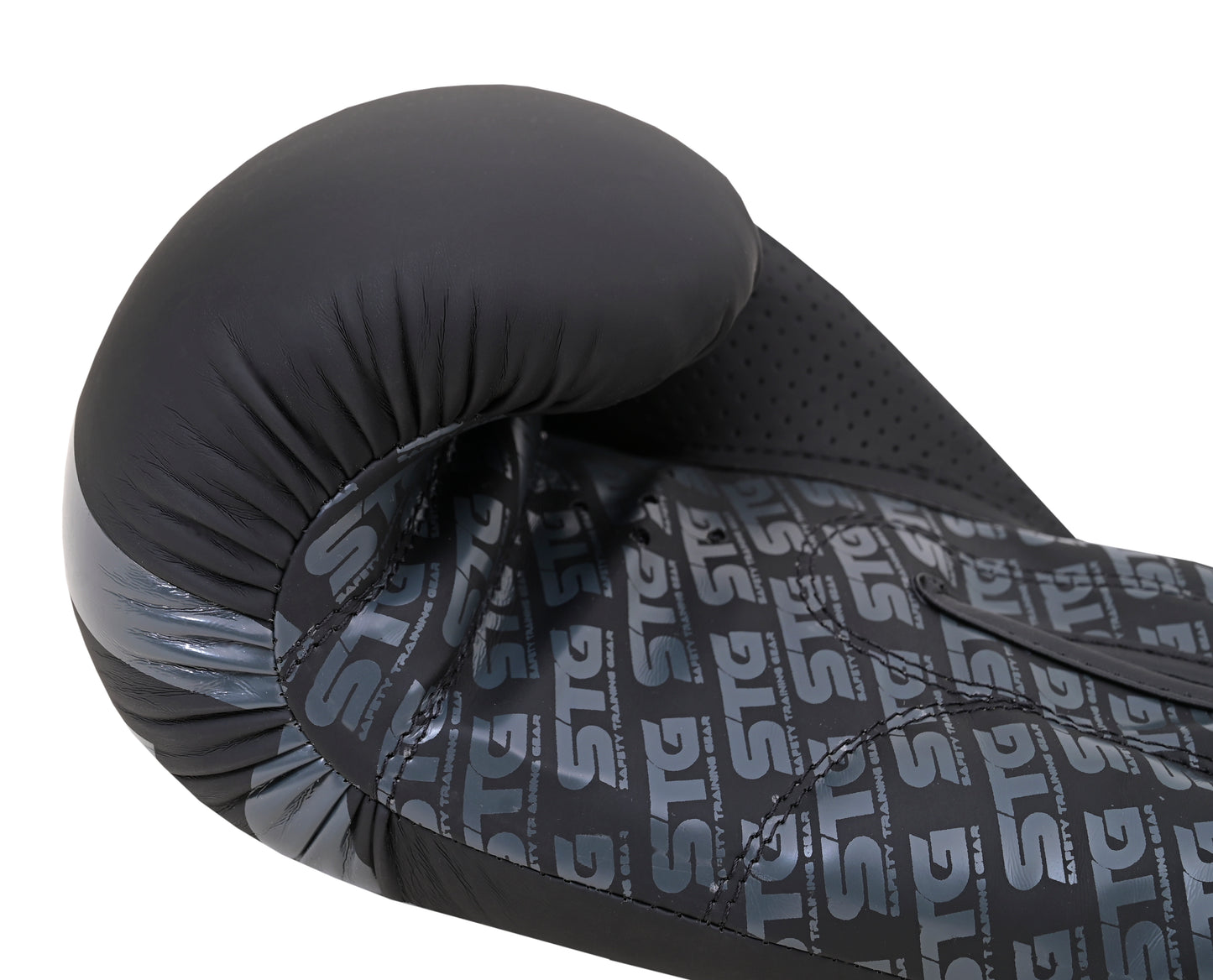 Boxing Gloves Black Edition